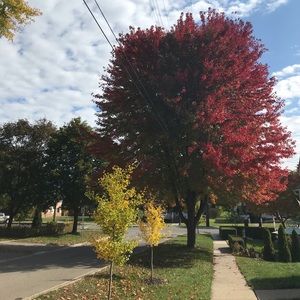 Meet your Posher, Erika